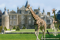 Image de l'élément