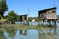 Image de l'élément