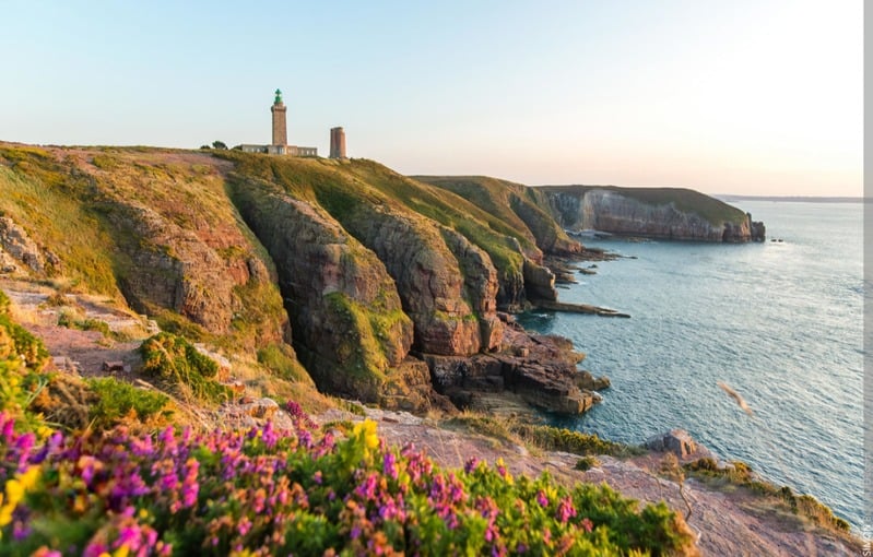 Image de l'élément