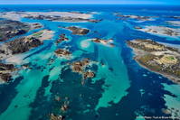 Image de l'élément