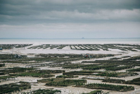 Image de l'élément