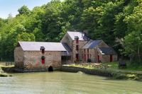 Image de l'élément