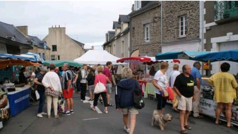 Image de l'élément