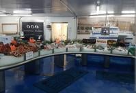 Image de l'élément