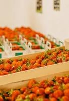 Image de l'élément